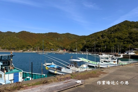 【四国霊場第23番札所・薬王寺にて御祈祷】厄除けのまち・美波町の天然塩「やくよけ塩」　徳島県 美波町 四国 薬王寺 大浜海岸 塩 天然塩 海塩 クラフト塩 調味料 粗塩 厄除け 厄年 御祈祷 縁起物 お清め 盛り塩 お守り お遍路 無添加 ミネラル 平釜 薪火 国産 ウミガメ おにぎり お弁当 ギフト 贈り物 常温保存