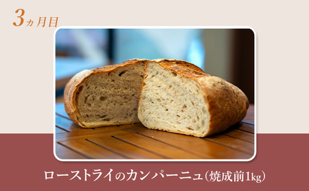 【 定期便 5ヵ月 】本場欧州のハード系パン 5種類 80%ライ麦パンと特製カンパーニュ 焼成前計4.9kg パン ライ麦パン カンパーニュ ハード系パン 冷凍