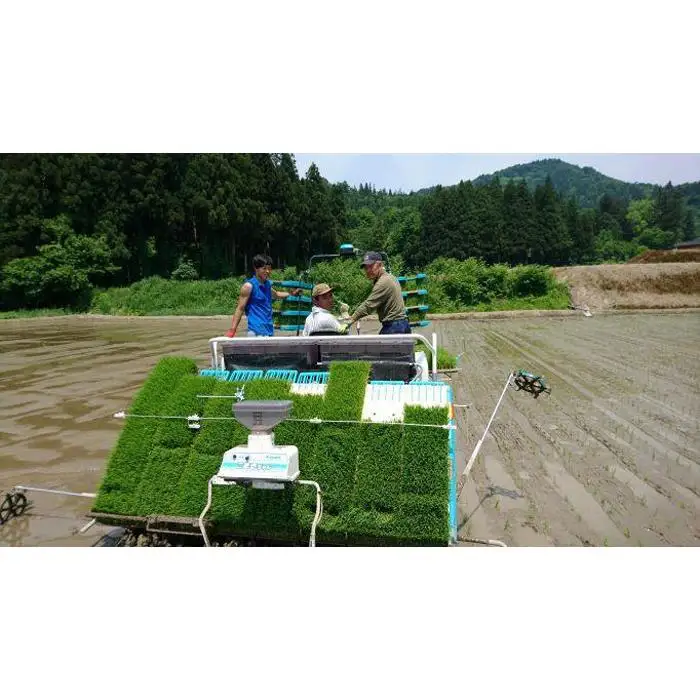 【令和７年産】【定期便】５kg×６ヶ月　南魚沼産コシヒカリ 井口農場 こだわりの 特別栽培米【定期便 銘柄米 ブランド米  精米 こしひかり コシヒカリ 魚沼産 新潟米 新潟県産 産地直送 ご飯 御飯 ごはん お米 米 こめ コメ】