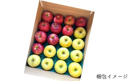 ＼ 予約受付 26年11月下旬 発送開始予定 ／【 北上市産 りんご 】サンフジ ＆ シナノゴールド 【 家庭用 詰め合せ 】 5キロ セット (約13～20玉) 林檎 リンゴ サン ふじ 5kg 国産 東北 岩手 産地直送 フルーツ 果物 岩手県 北上市 D0453 金鈴園 季節限定 秋 冬