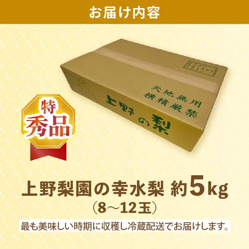 【先行予約】上野梨園の特選大玉 幸水梨『特秀品』選び抜かれた逸品 5kg 光糖度センサー選果品 梨園直送！ / 期間限定 果物 フルーツ 農家直送 シャキシャキ もぎたて 旬 お取り寄せ ※2026年8月下旬より順次発送 [aw077-b001]
