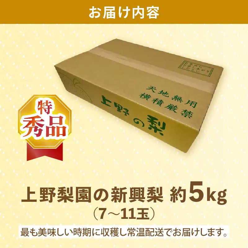 【先行予約】上野梨園の特選大玉 新興梨『特秀品』選び抜かれた逸品 5kg 光糖度センサー選果品 梨園直送！ / 期間限定 果物 フルーツ 農家直送 シャキシャキ もぎたて 旬 お取り寄せ ※2026年10月中旬より順次発送 [aw077-b003]