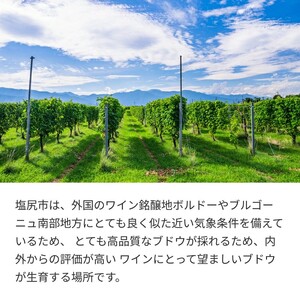 五一わいん エステートメルロ・シャルドネ　ギフトセット(箱付) 720ml×各1本