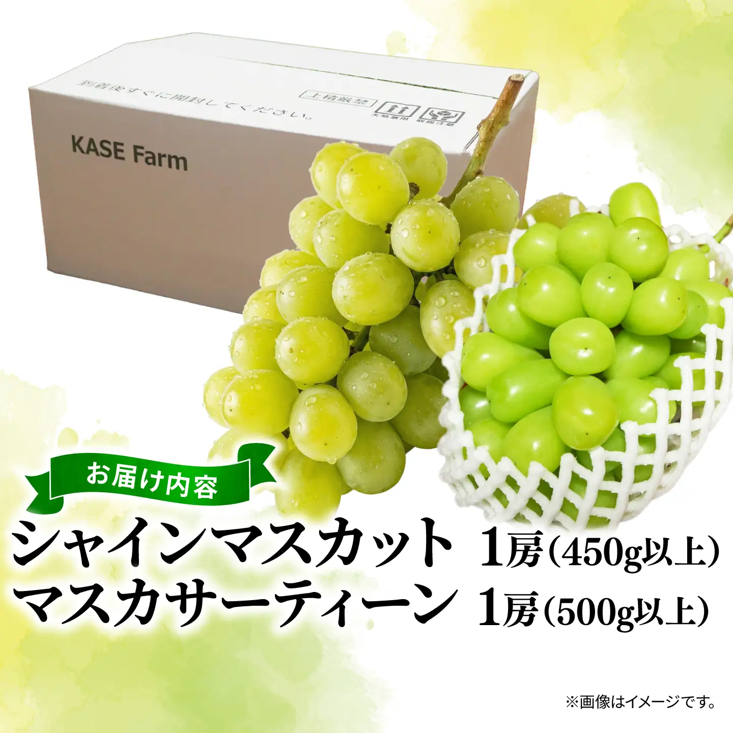 訳あり シャインマスカット × マスカサーティーン （ 種なし ） 1房 450g 以上 