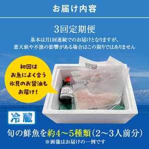 【8月配送開始】本州配送限定 産地直送 氷見漁港 朝どれ鮮魚お刺身セット定期便3ヶ月連続 平日配達希望　刺身