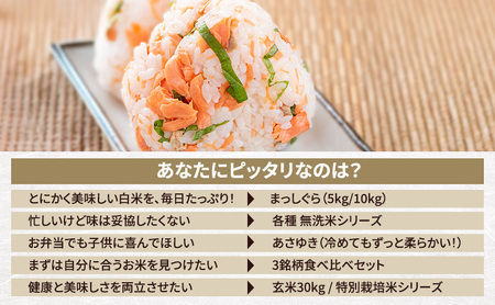 先行予約 令和8年産 まっしぐら 玄米 5kg [H.GREENWORK] 青森県 鰺ヶ沢産 / お米 こめ おこめ ごはん 備蓄 健康 津軽