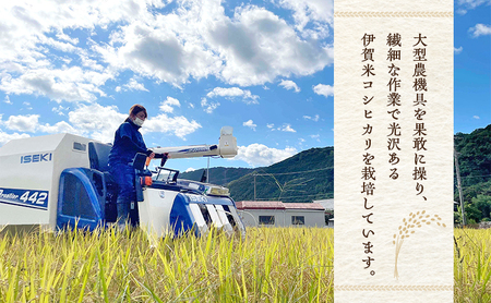 3姉妹が育てたお米　令和8年産　伊賀米コシヒカリ 10kg　3年連続 特A 米 こしひかり ご飯 ごはん 白米 精米 三重県 名張市