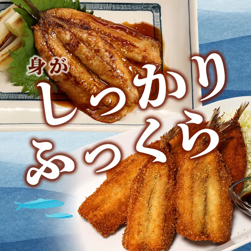 無塩 いわし 開き 20尾 骨抜き 鰯 干物