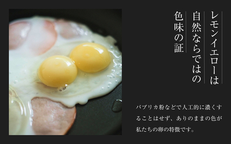 平飼い有精卵40個 省資源トレー【全3回定期便】｜環境配慮型 定期便《西粟倉村》【配送不可地域：沖縄・離島】t-SS-BqDA