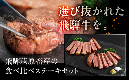 飛騨牛 赤身ステーキ 3種 食べ比べセット（各100g）計300g （ランプ・イチボ・モモ）【22-52】