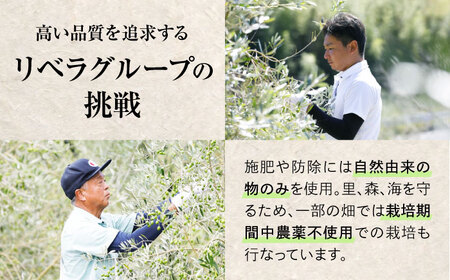 オリーブハンドソープ【AKI no SHIMA no MI】250ml×1本 美容 ボディケア ハンドケア 江田島市/リベラグループ[XAJ112]