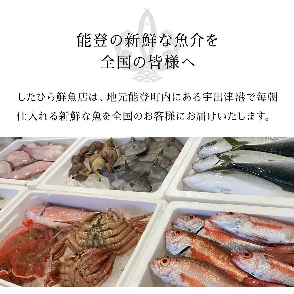 【6月お届け】【冷凍便】能登のお刺身盛り合わせセット（4人前）【復興支援】