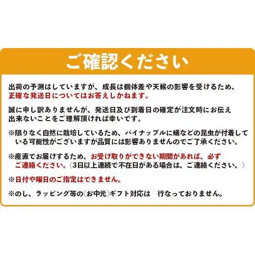 石垣島産 完熟 スナックパイン 2玉 約1.4kg 