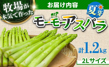 【先行予約】モーモーアスパラ 夏芽 2L 1.2kg（6月上旬から順次発送） 酪農 牧場 こだわり アスパラガス おすすめ 大分県　日田市 / 株式会社本川牧場[ARAI039]