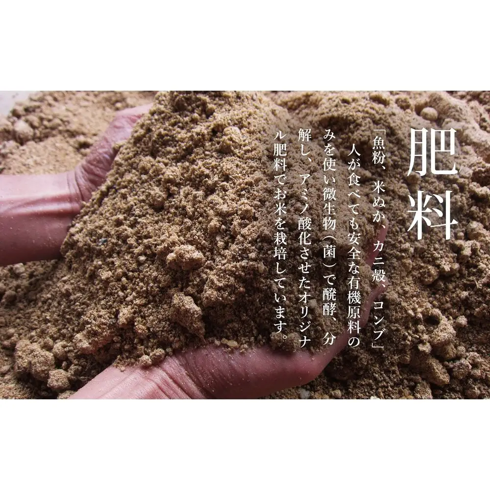 【定期便】関智晴がつくる最高級 南魚沼産コシヒカリ 金丸 ５kg ×全6回　栽培期間中 農薬化学肥料不使用
