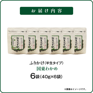 ごはんが進む！海のふりかけ 6袋（ひじきのみ） 半生 ソフトタイプ_2515R-8