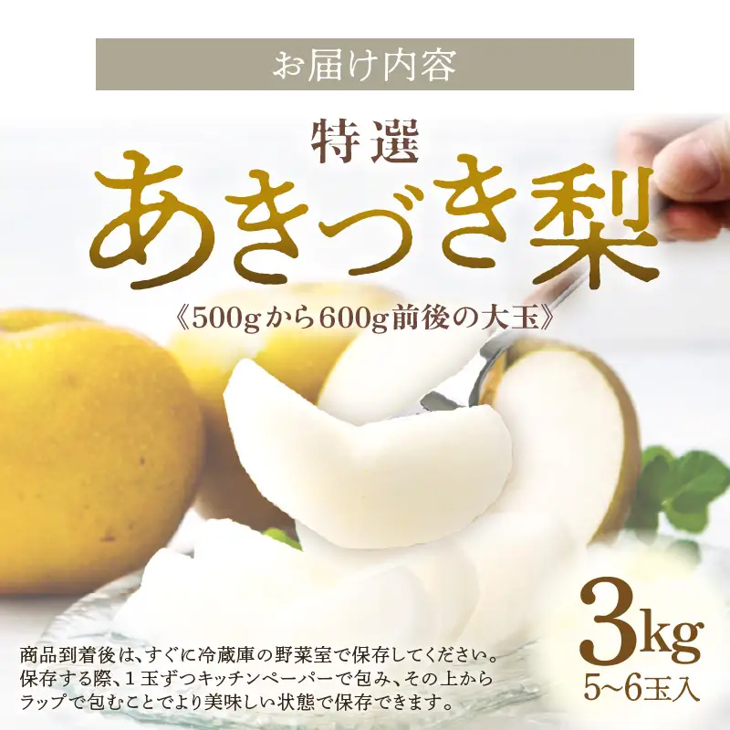 【先行予約】《数量限定》あきづき梨 3kg 特選 5玉～6玉入り もぎたて 新鮮 ※2026年9月中旬より順次発送予定 [aw042-a005]
