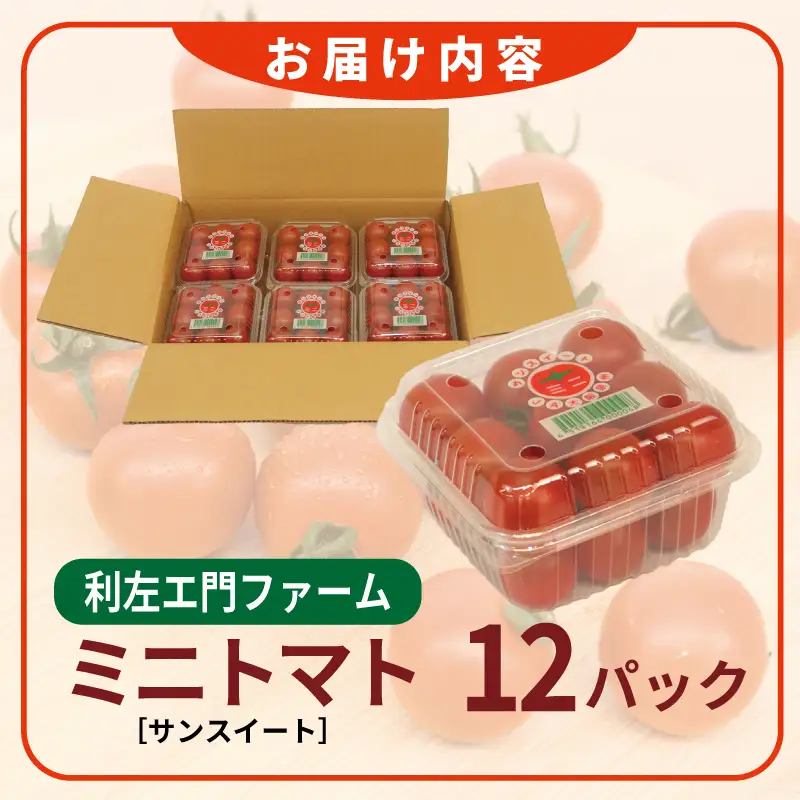 泉州産 新鮮ミニトマト 12パック 約2kg