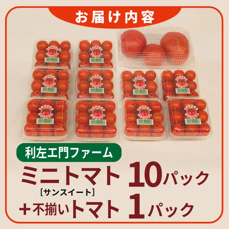 泉州産 新鮮ミニトマト 10パック+不揃いトマト1パック