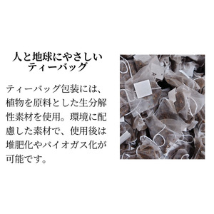 ＼ R8年産 出荷中 ／ 【たねがしまる4000】種子島 有機  緑茶  やぶきた ティーパック   NFN951【100pt】 // オーガニック 一番茶 JAS認証 