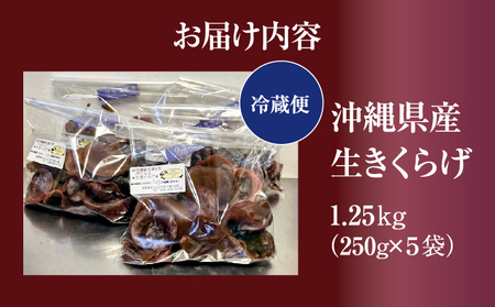 沖縄県産 生きくらげ1.25kg (250g5袋) | 就労継続支援B型事業所パピルス | 国産 肉厚 ぷるぷる 産地直送 採れたて 新鮮 | 健康 美容 鉄分 食物繊維 ビタミンD グルメ | 沖縄県 宜野湾市 送料無料