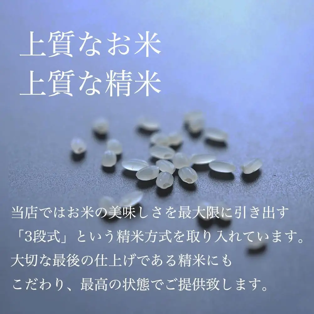 【定期便】令和7年産 南魚沼産コシヒカリ「塩沢地区限定」精米 5kg×3袋  12ヶ月連続【定期便 銘柄米 ブランド米 精米 こしひかり コシヒカリ魚沼産 新潟米 新潟県産 産地直送 ご飯 御飯 ごはん お米 米 こめ コメ】