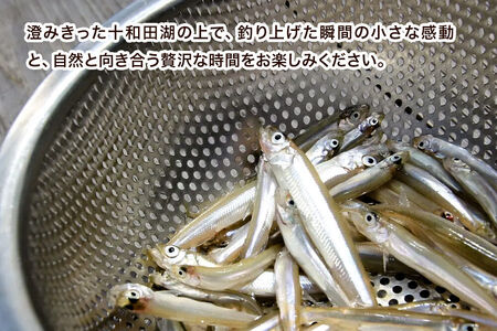 Enjoyとわだこ ワカサギ釣りドーム船 乗船体験 ペア（大人2名様分）湖の上で過ごす特別な時間 ＜レターパックプラス＞