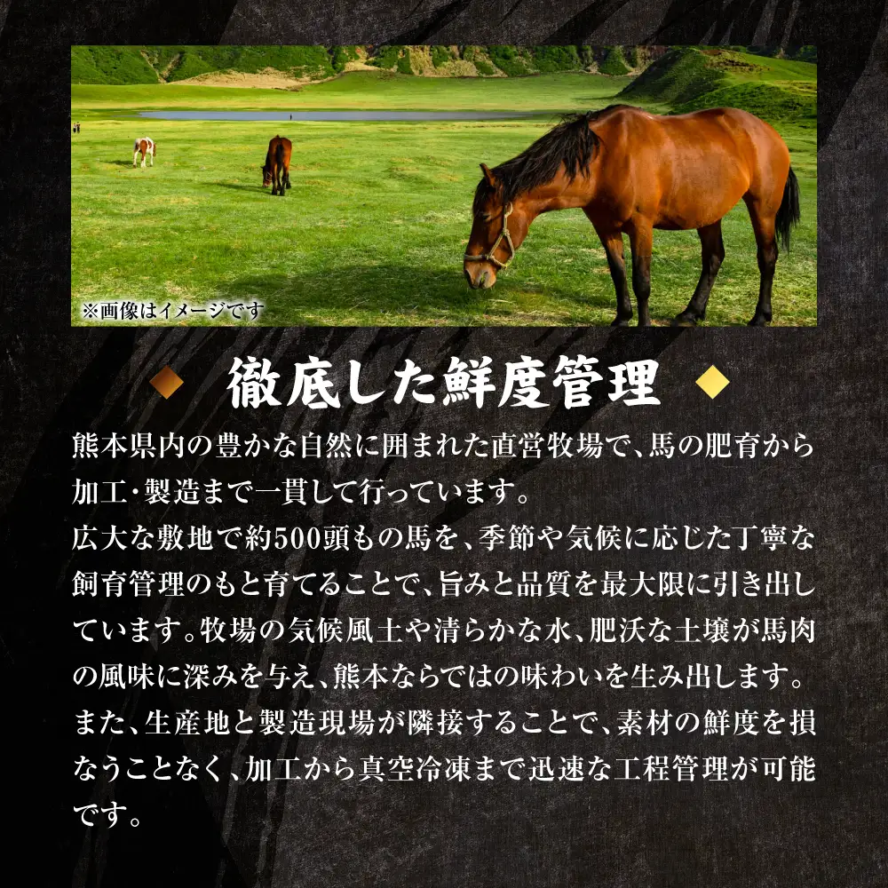 馬刺し 国産 熊本肥育 ユッケ 合計600g （50g×12パック） 馬肉 馬刺し