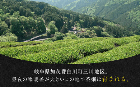 発酵和茶Trinitea 一番茶リーフタイプ 50g / 紅茶 和紅茶 やぶきた 茶葉 一番茶 白川町 / ヨリスグリ[AWBV004]