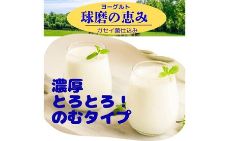 球磨の恵み のむヨーグルト ( 砂糖不使用 ) 10本 セット 【配送不可：沖縄県、離島】