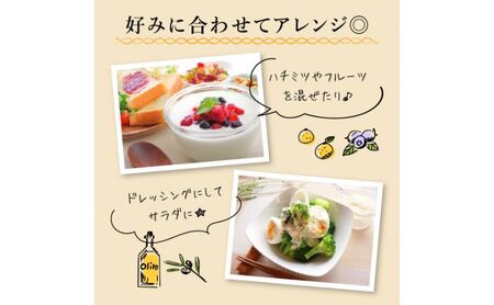 ヨーグルト もっちり、とろ～りの2つに食感！ 球磨の恵みヨーグルト (砂糖不使用)  3kg 【配送不可：沖縄県、離島】