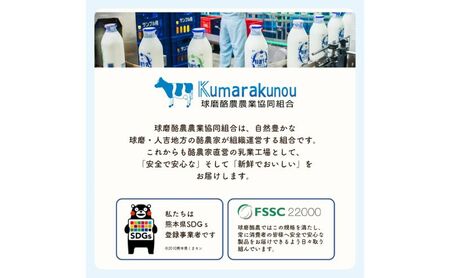 牛乳 お腹にもやさしいA2ミルク！球磨人吉産 球磨の恵み A2牛乳 4本パック ミルク  【配送不可：沖縄県、離島】