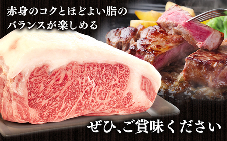 熊本県産 GI認証取得 くまもとあか牛 ロースブロック 2kg 1kg×2 くまふる《45日以内に出荷予定(土日祝除く)》熊本県 長洲町 肉 牛肉 あか牛 赤牛 ロース ブロック 熊本県産 国産