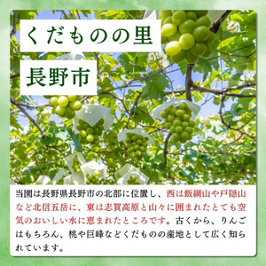長野県 長野市産 ◎りんごの定期便◎ 10月～12月 3ヵ月連続5kg(12～20玉)ずつお届け　あきばえ・シナノスイート・サンふじ（矢島農園）