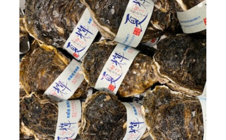 ＜定期便＞『境港の全部を食す』旬のお魚宅配便(全4回)