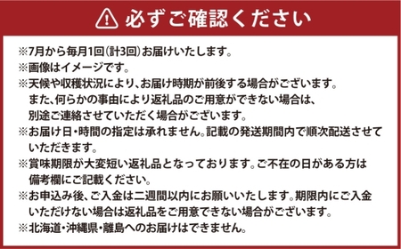 【 全3回定期便 】 岡山県産 フルーツ定期便 ＜ お一人様向け ＞ 白桃 ピオーネ シャインマスカット 果物 くだもの フルーツ ぶどう もも ブドウ モモ 葡萄 桃 化粧箱 贈り物 贈答用 ギフト プレゼント 定期便 【 2026年7月上旬～9月下旬迄発送予定 】