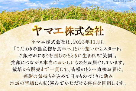 【数量限定】 米 定期便 3回 令和8年産 こしひかり 5kg 山梨県産 武川米 [ヤマエ株式会社 山梨県 韮崎市 20745400]