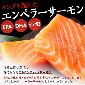 【ふるさと納税】エンペラーサーモン  400g_T010-1110