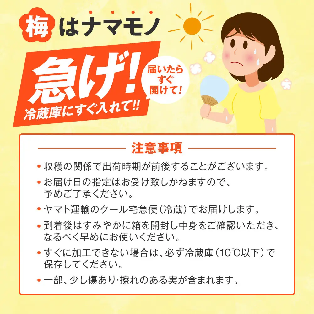 手もぎ 完熟南高梅 20kg L～2Lサイズ 谷本農園