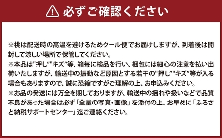 【全3回定期便】 岡山県産 フルーツ定期便 ＜お一人様向け＞ 【2026年7月上旬～9月下旬迄発送予定】 白桃 ピオーネ シャインマスカット 瀬戸内 果物 くだもの フルーツ ぶどう もも ブドウ モモ 葡萄 桃 岡山白桃 ニューピオーネ 晴王 化粧箱 贈り物 贈答用 ギフト プレゼント 定期 定期便 果実 定期配送