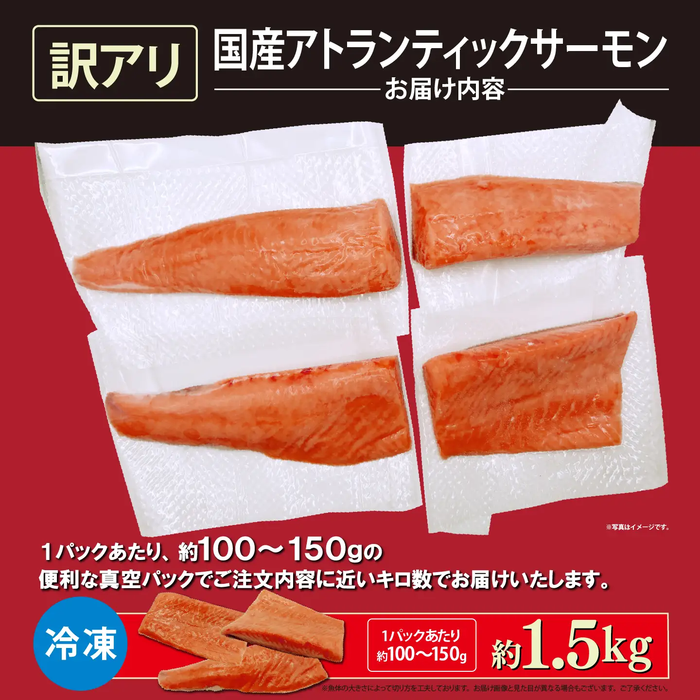 サーモン 訳あり 約1.5kg 国産サーモン