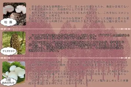 宝山なべ 1セット 天然キノコ 本しめじ出汁 すいとん入り