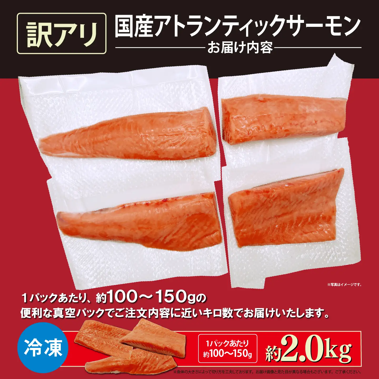 サーモン 訳あり 約2kg 国産サーモン