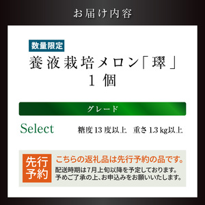 【先行予約】養液栽培メロン「璻」1玉【Select】（糖度13度以上、重さ1.3㎏以上）【熨斗対応可能】