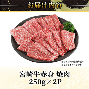 宮崎牛 赤身カット 焼肉 (計500g・250g×2) 焼肉 お肉 牛肉 黒毛和牛 宮崎牛 ブランド和牛 冷凍 国産 モモ ウデ 宮崎県産 【YM-20】【YAMATO株式会社】