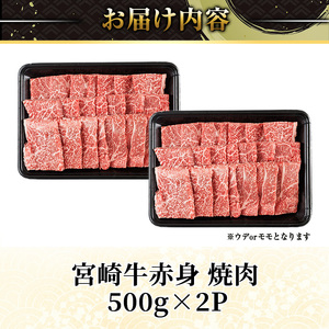 宮崎牛 赤身カット 焼肉 (計1kg・500g×2) 焼肉 お肉 牛肉 黒毛和牛 宮崎牛 ブランド和牛 冷凍 国産 モモ ウデ 宮崎県産 【YM-24】【YAMATO株式会社】