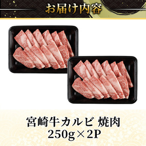 宮崎牛 カルビカット 焼肉 (計500g・250g×2) 焼肉 お肉 牛肉 黒毛和牛 宮崎牛 ブランド和牛 冷凍 国産 宮崎県産 カルビ バラ 【YM-32】【YAMATO株式会社】