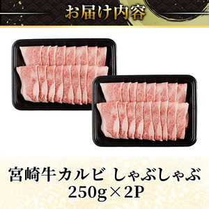 宮崎牛 カルビカット しゃぶしゃぶ (計500g・250g×2) しゃぶしゃぶ お肉 牛肉 黒毛和牛 宮崎牛 ブランド和牛 冷凍 国産 宮崎県産 カルビ バラ 【YM-34】【YAMATO株式会社】