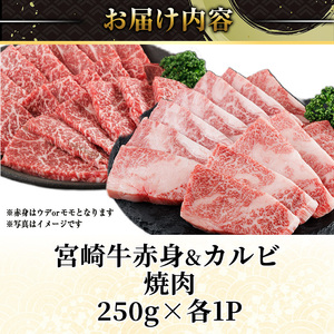宮崎牛 赤身＆カルビカット 焼肉 (合計500g・250g×2) 焼肉 お肉 牛肉 黒毛和牛 宮崎牛 ブランド和牛 冷凍 国産 カルビ 赤身 宮崎県産 【YM-41】【YAMATO株式会社】