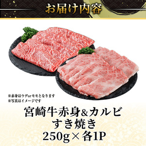 宮崎牛 赤身＆カルビカット すき焼き (合計500g・250g×2) すき焼き お肉 牛肉 黒毛和牛 宮崎牛 ブランド和牛 冷凍 国産 カルビ 赤身 宮崎県産 【YM-42】【YAMATO株式会社】